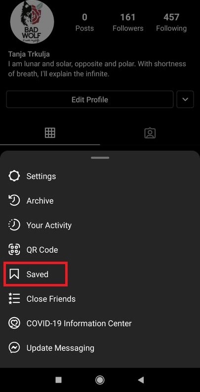 Download Videos From Instagram Saved