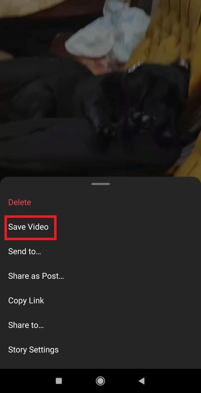 Download Videos From Instagram Story