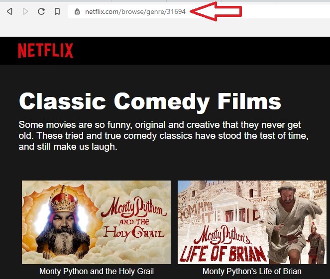 Netflix Secret Codes To Find The Show You Want Code
