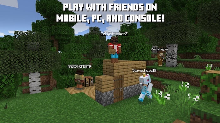 Best Online Multiplayer Switch Minecraft