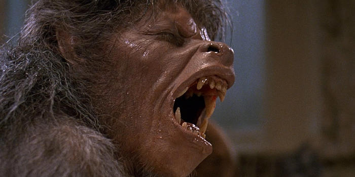 Now An American Werewolf In London