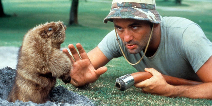 80s Comedy Movies Caddyshack