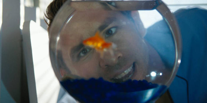 Free Guy Ryan Reynolds Goldfish