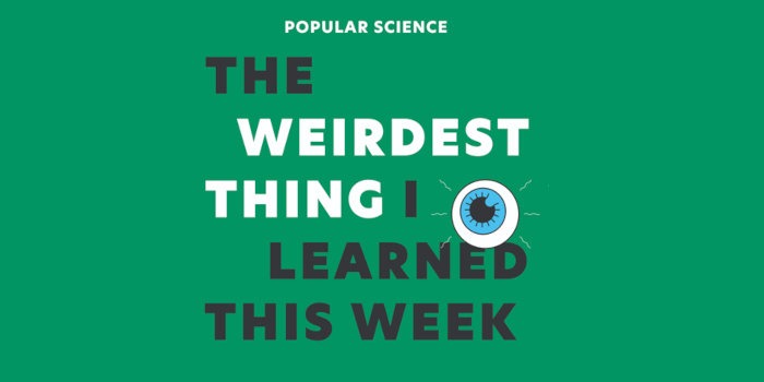 Best Science Podcasts The Weirdest Thing I Learned This Week