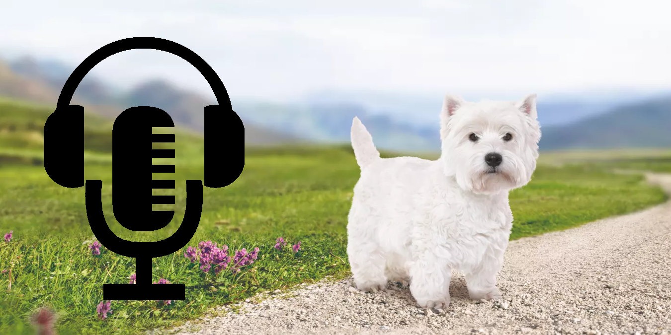 Best Dog Podcasts Featured Image