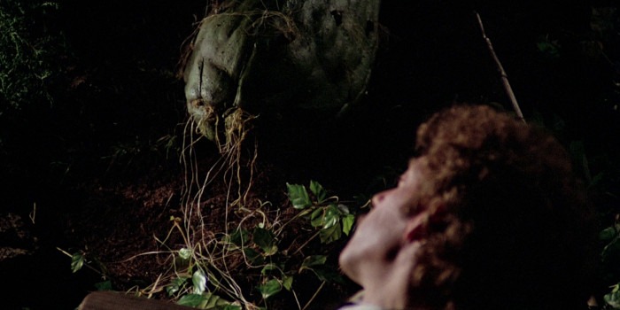 Alien Invasion Movies Invasion Of The Body Snatchers