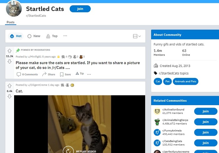 Starved Of Laughter These Are The Funniest Subreddits Startled Cats