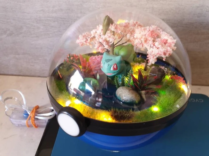 Best Pokemon Gift Terrarium