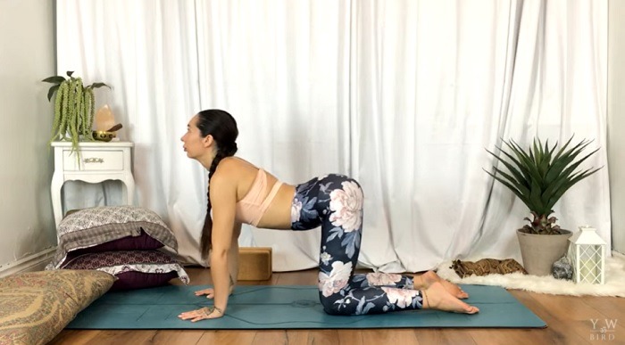 Best Yoga Youtube Channels Bird