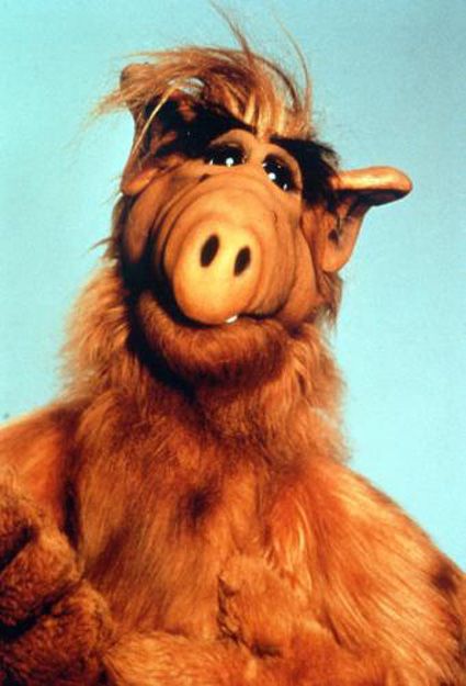 Alf 1