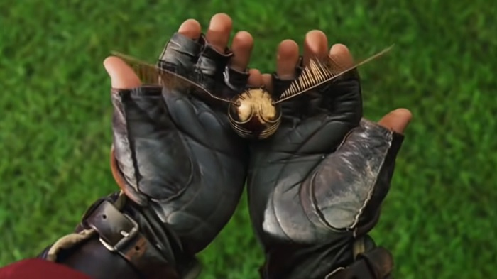 Things You Didnt Know About Harry Potter Golden Snitch