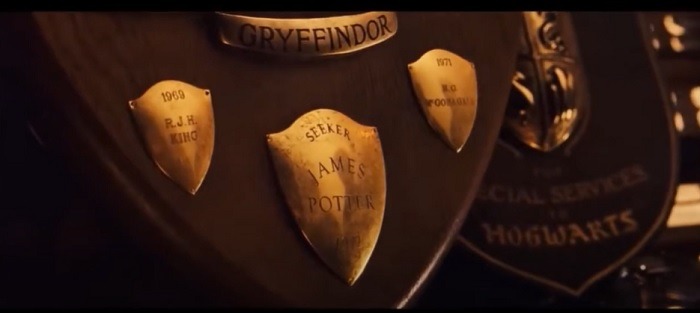 Things You Didnt Know About Harry Potter Quidditch