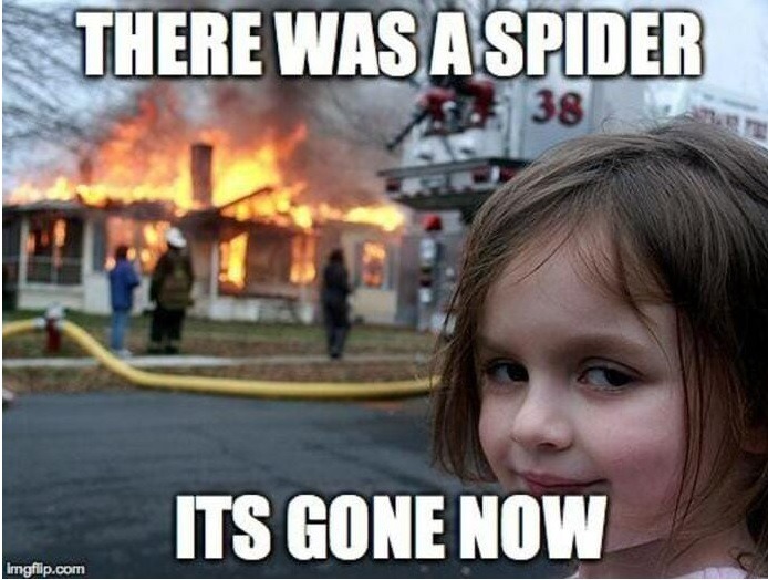 Memes To Make You Laugh Spider