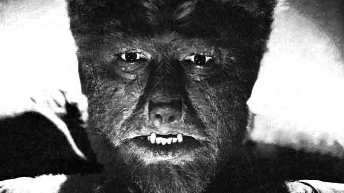 Classic Monster Wolfman